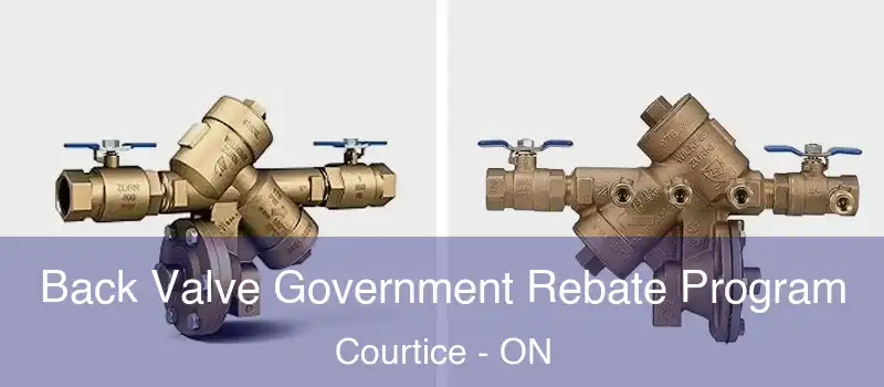  Back Valve Government Rebate Program Courtice - ON