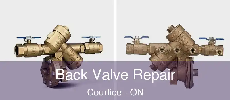  Back Valve Repair Courtice - ON