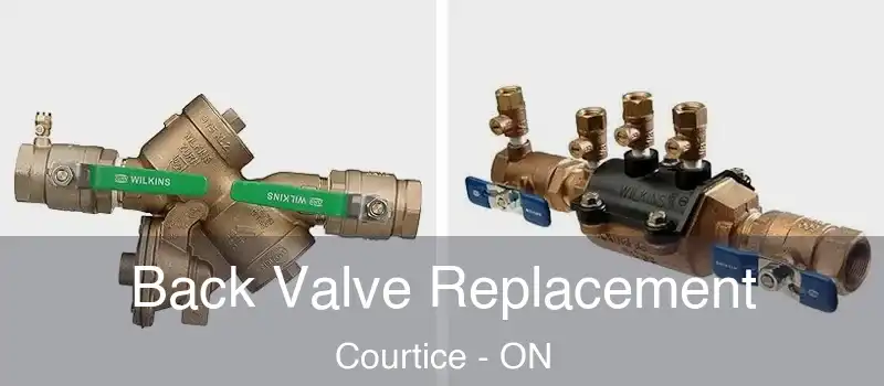  Back Valve Replacement Courtice - ON