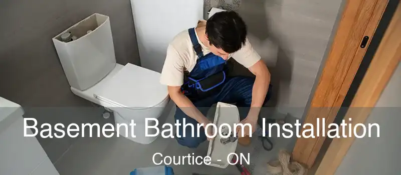  Basement Bathroom Installation Courtice - ON