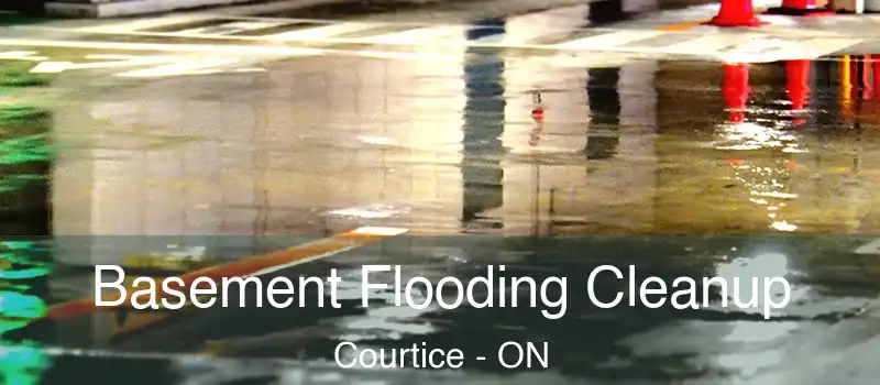  Basement Flooding Cleanup Courtice - ON