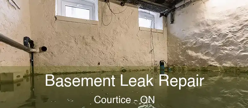  Basement Leak Repair Courtice - ON