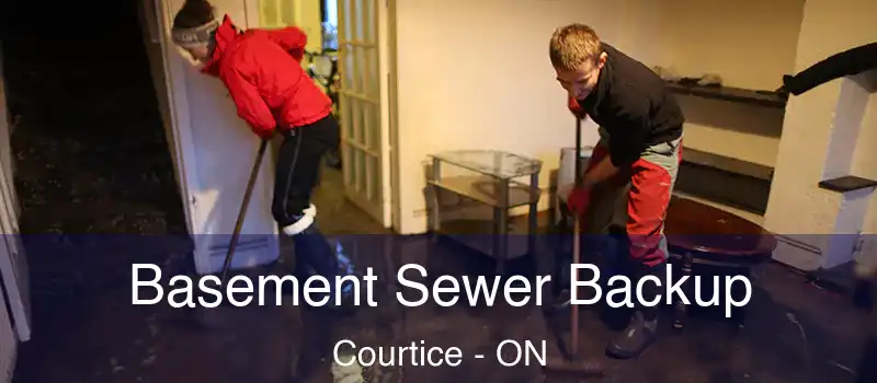  Basement Sewer Backup Courtice - ON