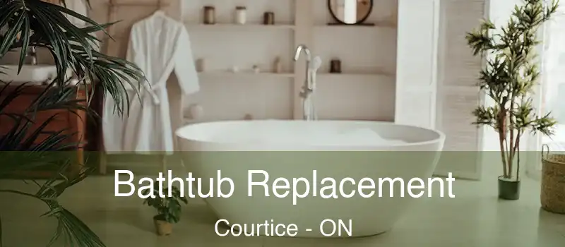  Bathtub Replacement Courtice - ON