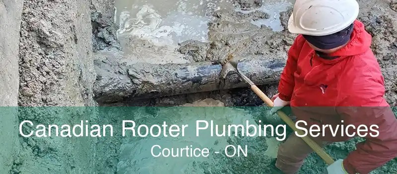 Canadian Rooter Plumbing Services Courtice - ON