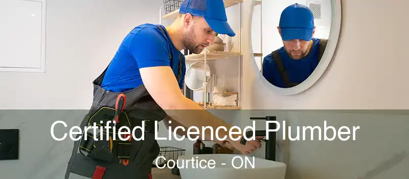  Certified Licenced Plumber Courtice - ON