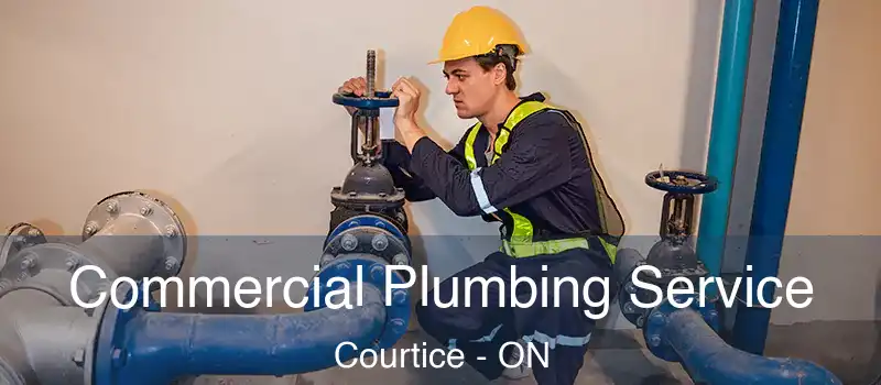  Commercial Plumbing Service Courtice - ON