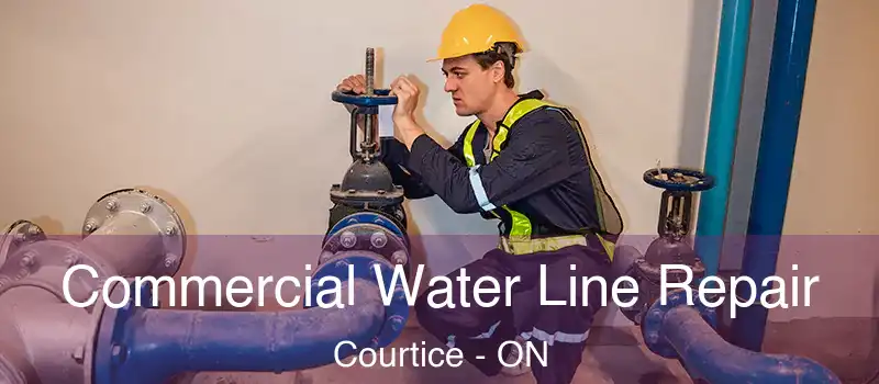  Commercial Water Line Repair Courtice - ON