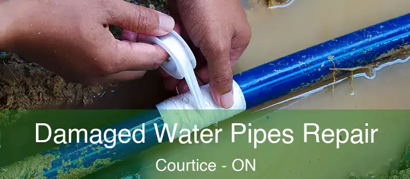  Damaged Water Pipes Repair Courtice - ON