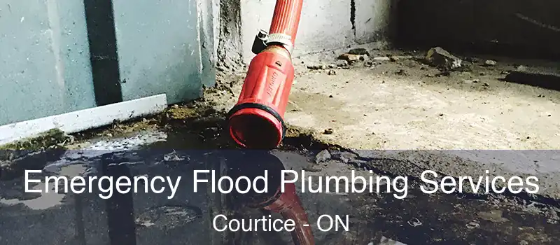  Emergency Flood Plumbing Services Courtice - ON