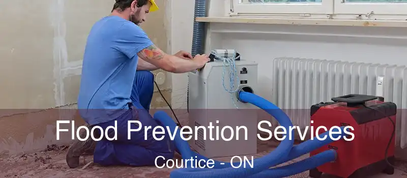  Flood Prevention Services Courtice - ON