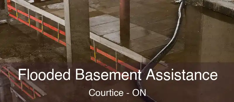  Flooded Basement Assistance Courtice - ON