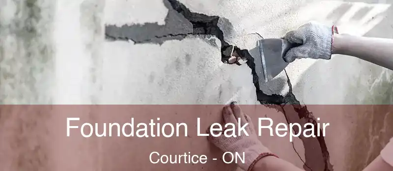  Foundation Leak Repair Courtice - ON