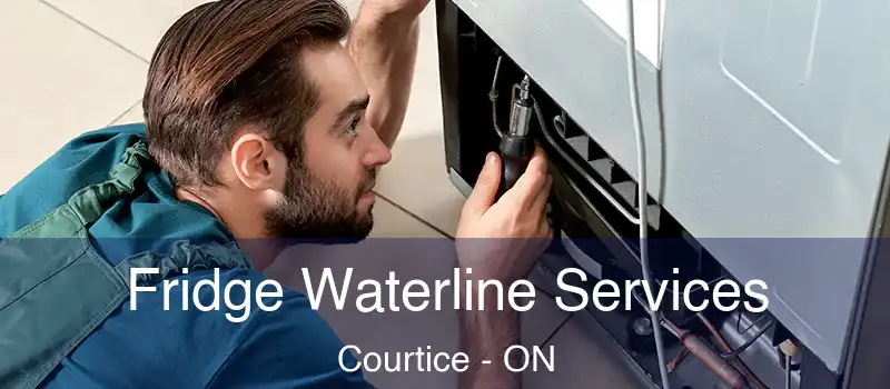  Fridge Waterline Services Courtice - ON