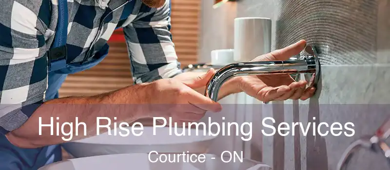  High Rise Plumbing Services Courtice - ON