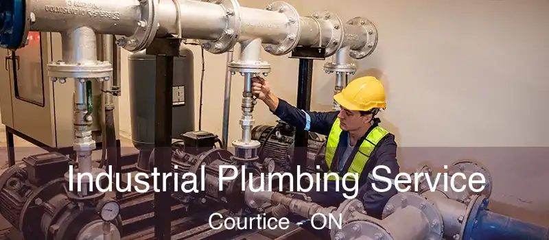  Industrial Plumbing Service Courtice - ON