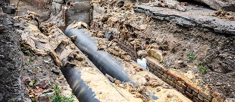 Commercial Sewer Tree Roots Damage Solutions in Courtice, ON