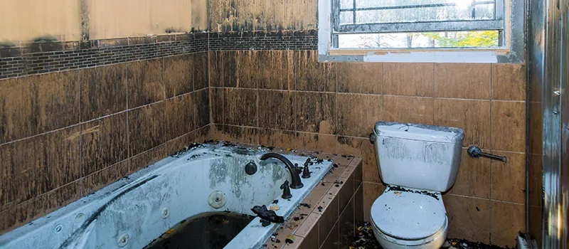 Residential Water Damage Restoration in Courtice, ON