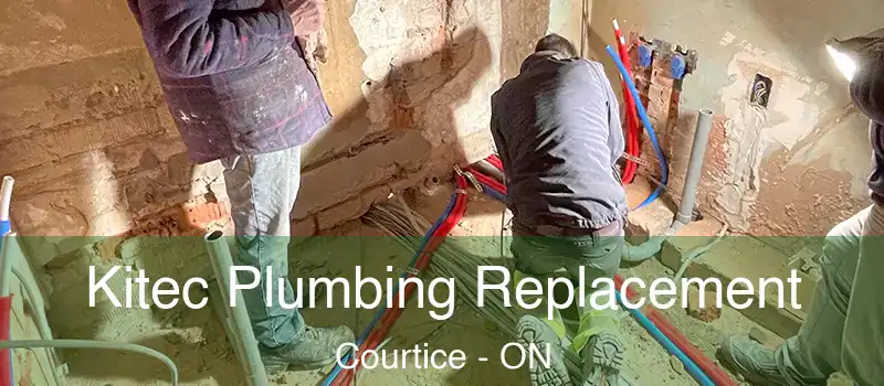 Kitec Plumbing Replacement Courtice - ON
