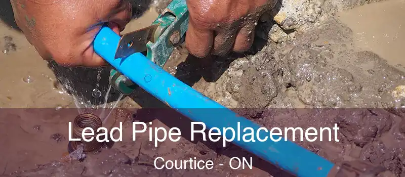  Lead Pipe Replacement Courtice - ON