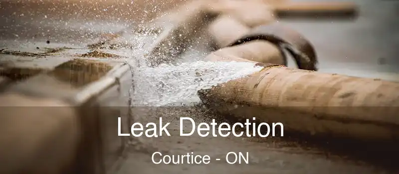  Leak Detection Courtice - ON
