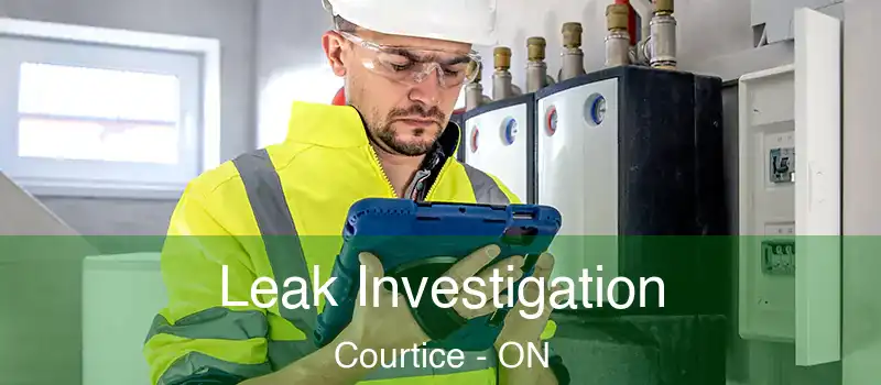  Leak Investigation Courtice - ON