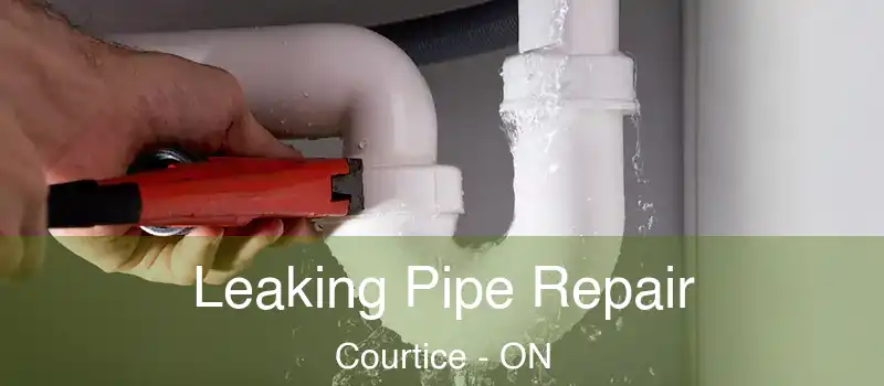  Leaking Pipe Repair Courtice - ON