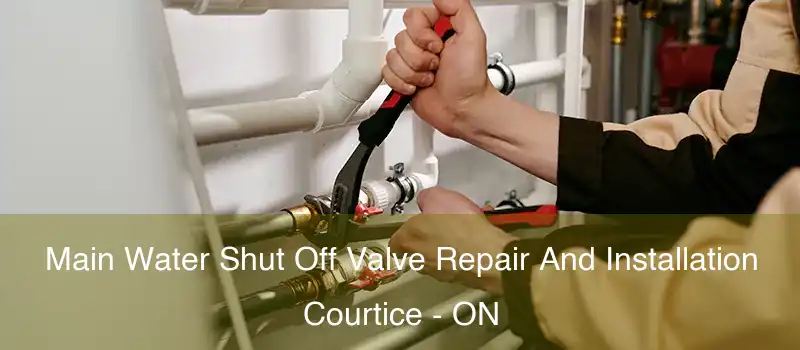  Main Water Shut Off Valve Repair And Installation Courtice - ON