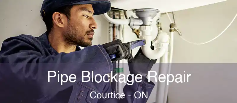  Pipe Blockage Repair Courtice - ON