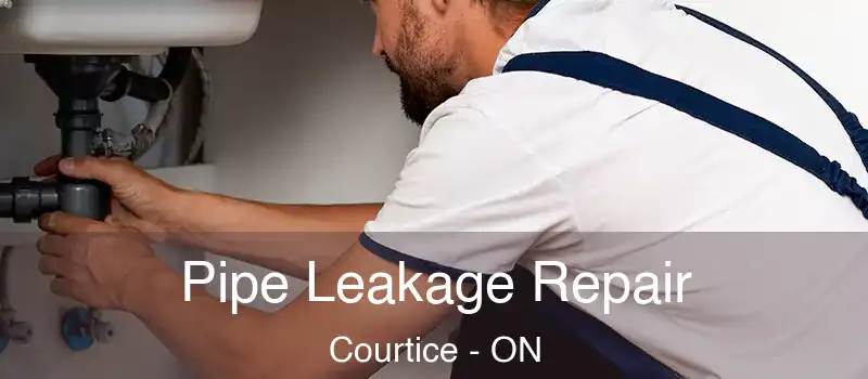  Pipe Leakage Repair Courtice - ON