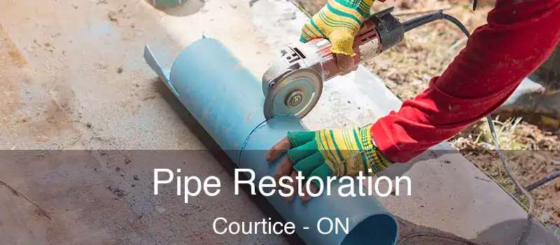  Pipe Restoration Courtice - ON