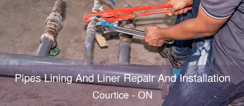  Pipes Lining And Liner Repair And Installation Courtice - ON