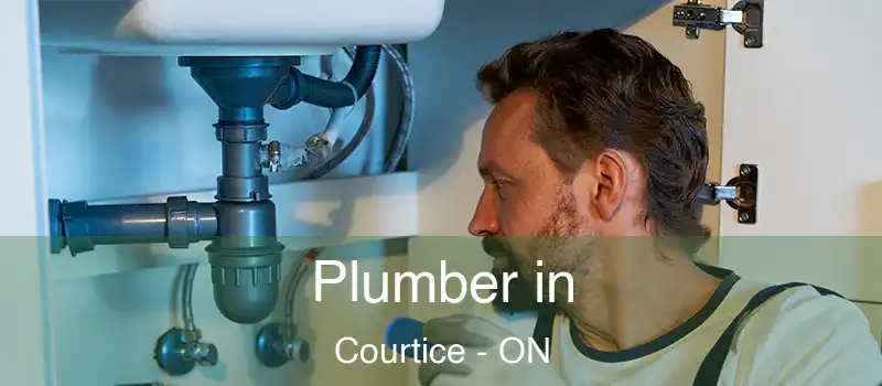  Plumber in Courtice - ON