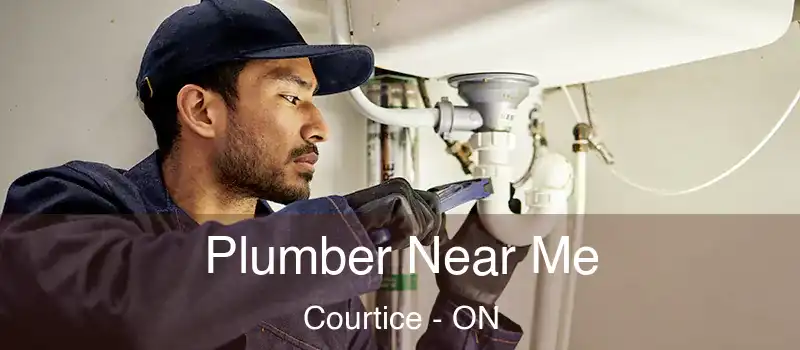  Plumber Near Me Courtice - ON