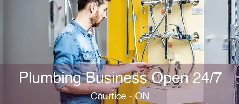  Plumbing Business Open 24/7 Courtice - ON