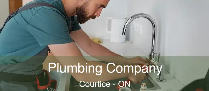  Plumbing Company Courtice - ON
