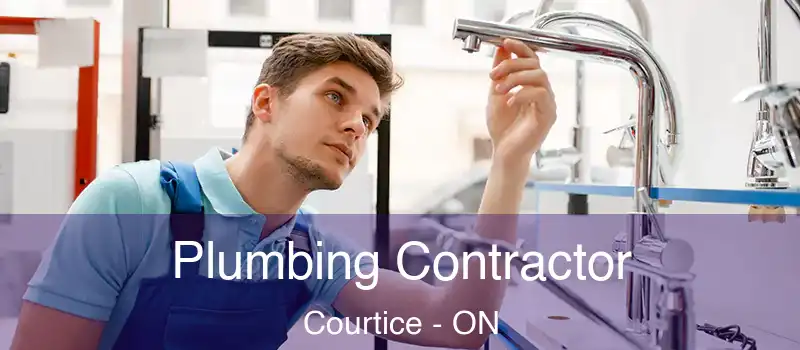  Plumbing Contractor Courtice - ON