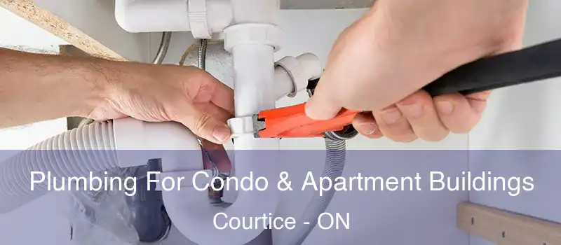  Plumbing For Condo & Apartment Buildings Courtice - ON