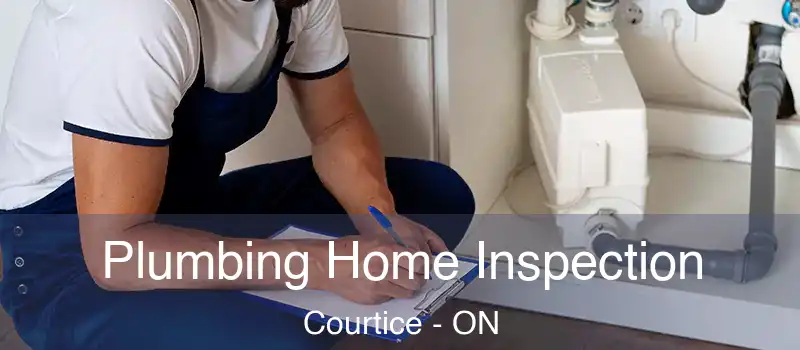  Plumbing Home Inspection Courtice - ON