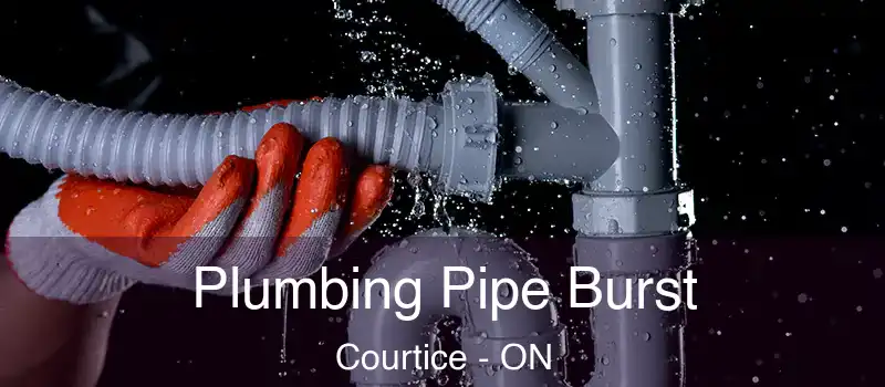  Plumbing Pipe Burst Courtice - ON