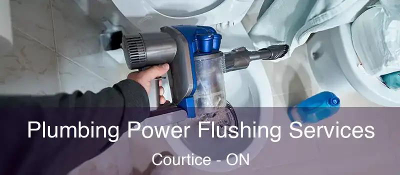  Plumbing Power Flushing Services Courtice - ON