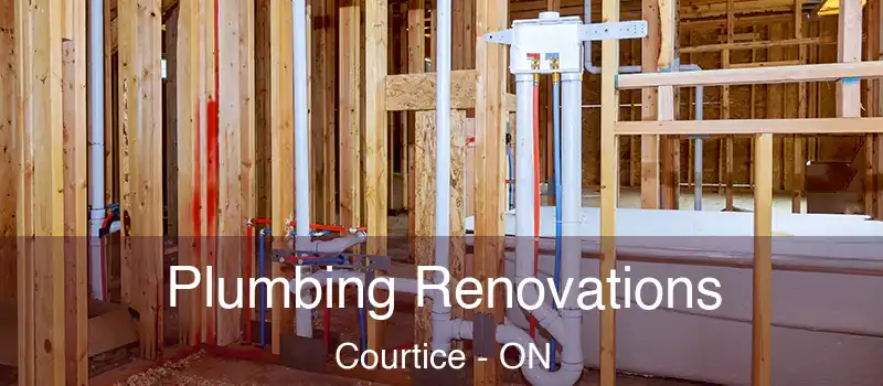  Plumbing Renovations Courtice - ON