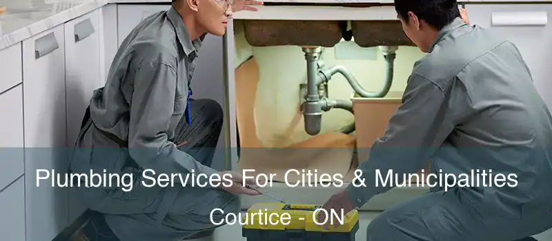  Plumbing Services For Cities & Municipalities Courtice - ON