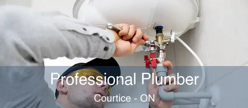  Professional Plumber Courtice - ON