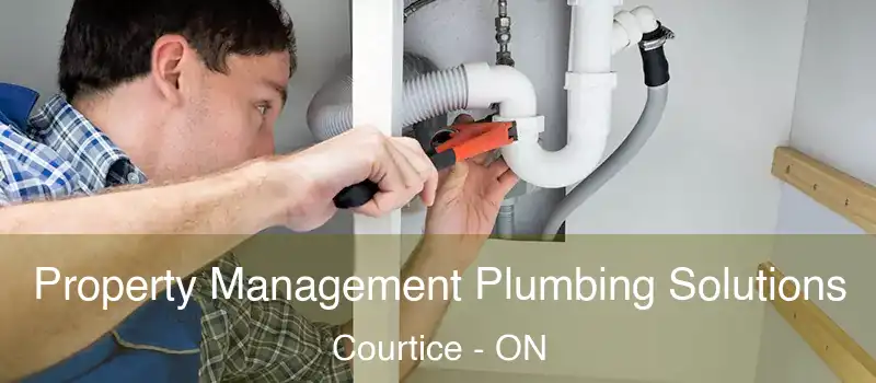  Property Management Plumbing Solutions Courtice - ON