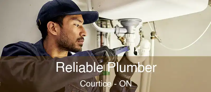  Reliable Plumber Courtice - ON
