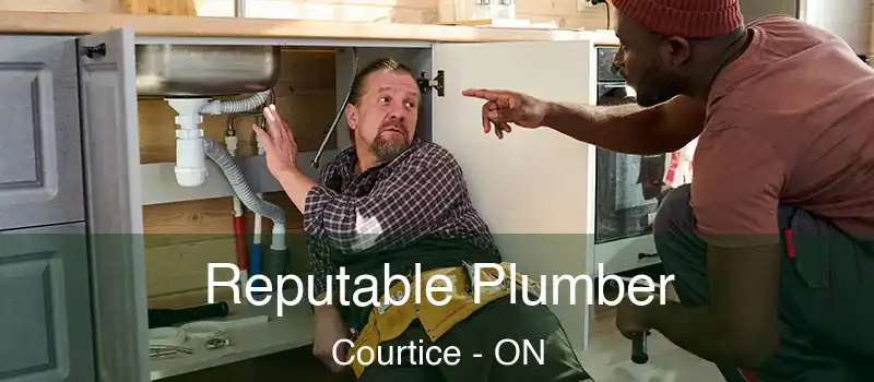  Reputable Plumber Courtice - ON
