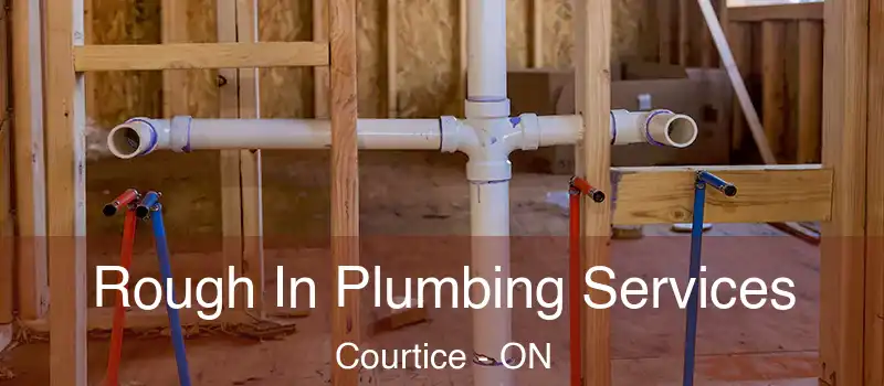  Rough In Plumbing Services Courtice - ON