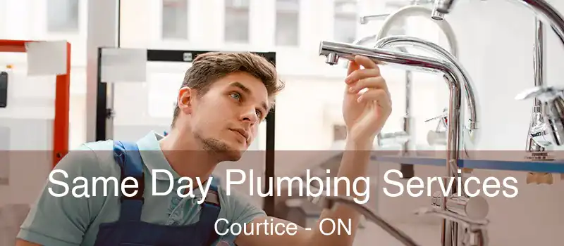  Same Day Plumbing Services Courtice - ON
