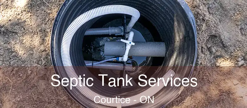 Septic Tank Services Courtice - ON